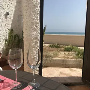 Estrella De Mar * Valencia