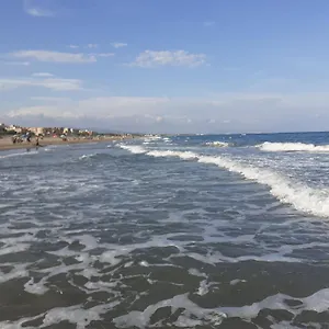 Canet *
