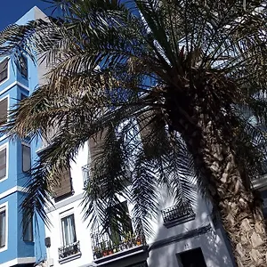 Apartament Casa Con Palmera - Port