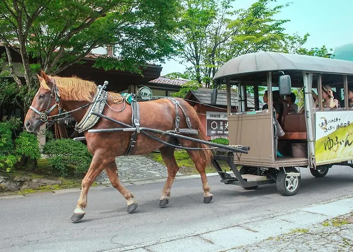 旅館 光の家 由布市の写真